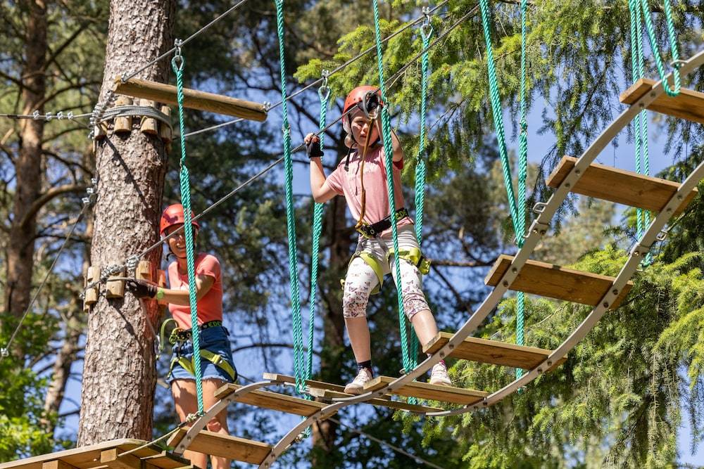 Ropes course (team building)