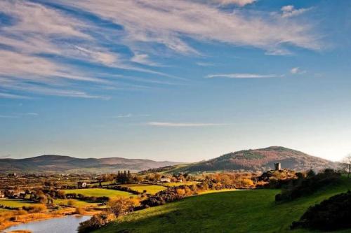 Number Twelve — Newry