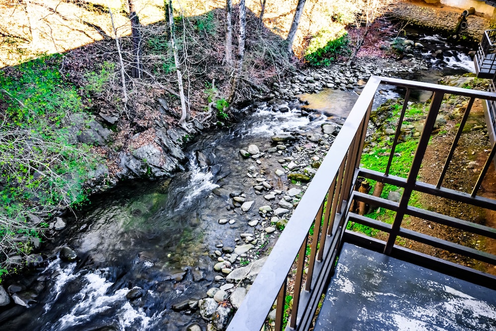 Bear Creek Inn - photo 55