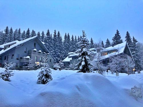 Resident Harrachov — 4-Star Luxury Hotel in Harrachov, Czech Republic
