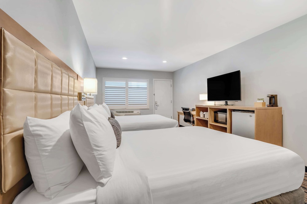 Sather Berkeley SureStay Collection by Best Western - photo 6