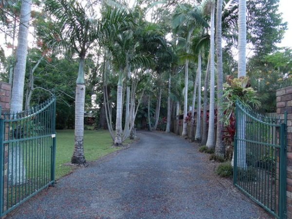 Emerald Tropical Palms — Emerald Beach — photo 5