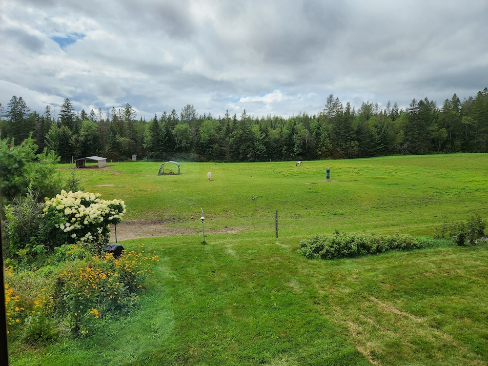 The Inn at OxBow Acres - photo 28