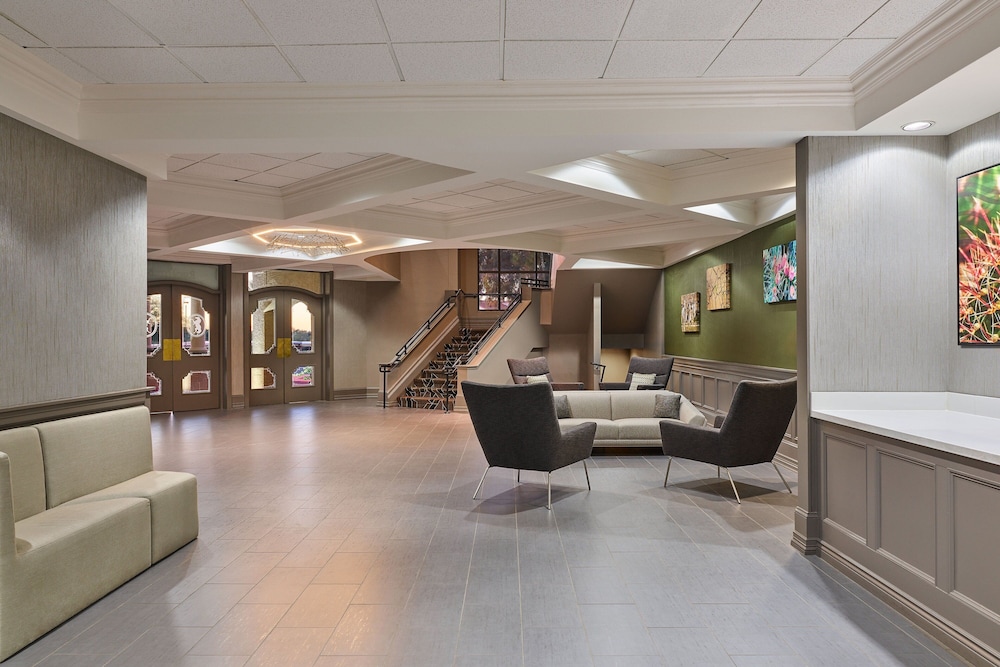 Sheraton Tucson Hotel and Suites - photo 40