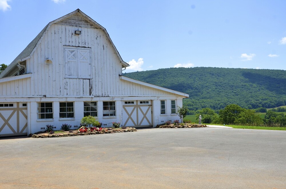 Mountain Cove Farms Resort - photo 27