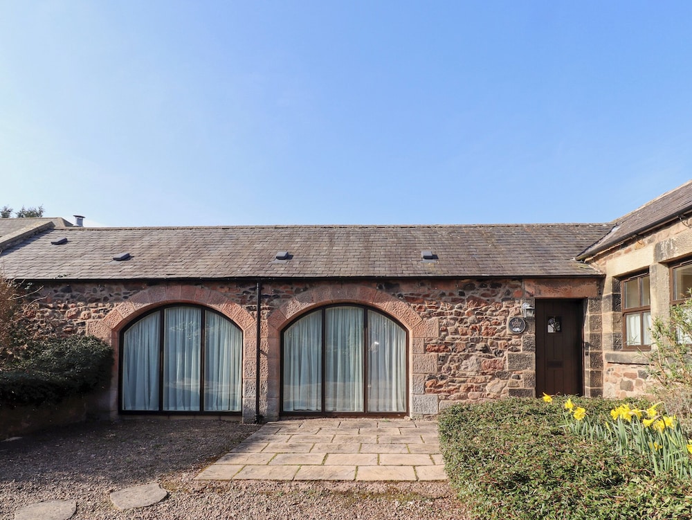 Pansy Plot in Wooler, United Kingdom
