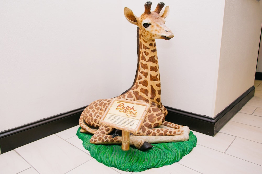 Holiday Inn Express & Suites Tampa USF Busch Gardens by IHG - photo 55