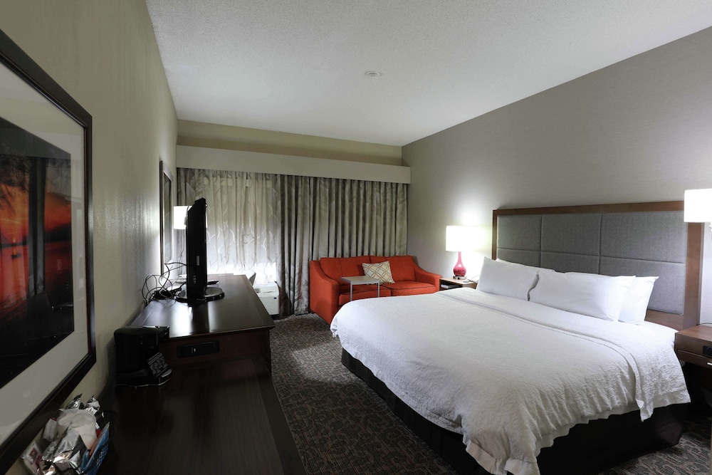 Hampton Inn Dyersburg - photo 9