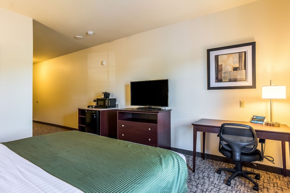 Cobblestone Hotel & Suites Orrville - photo 8