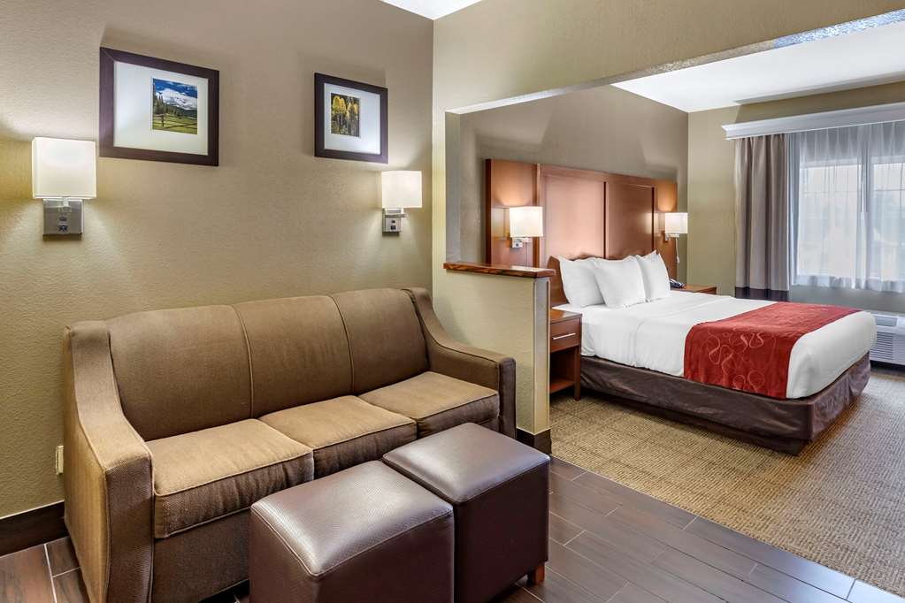 Comfort Suites Fort Collins Near University - photo 11