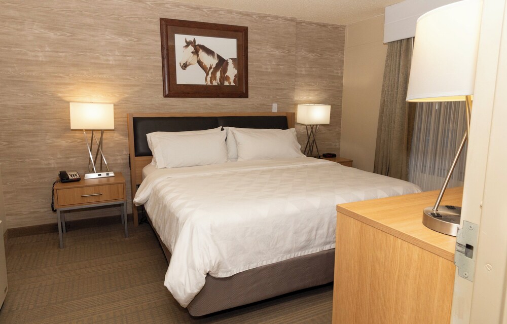 Holiday Inn Spearfish Convention Center by IHG - photo 20