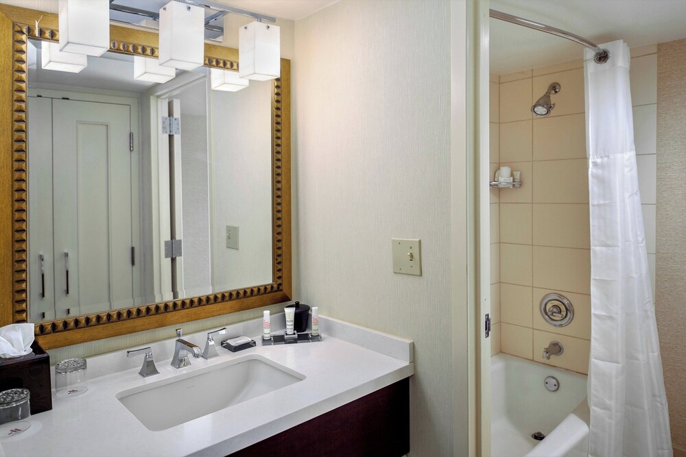 Marriott St. Louis West - photo 44