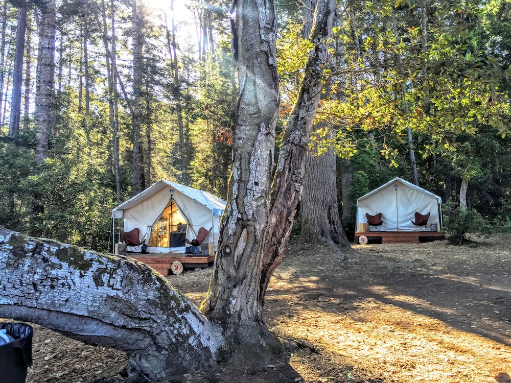 Mendocino Grove - photo 14