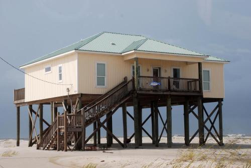 Morning Joy in Dauphin Island, United States