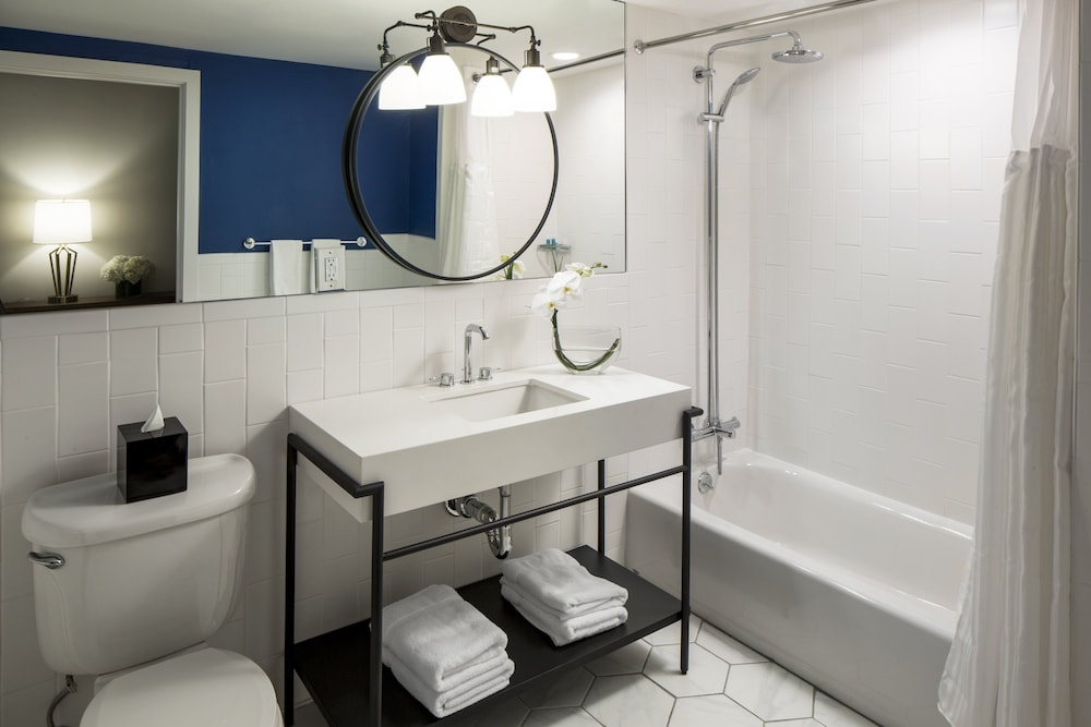 Hotel Indigo Boston Garden by IHG - photo 33