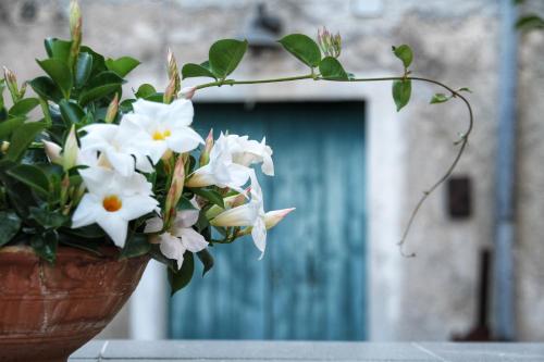 CasaMia - last minute hotel in Orosei