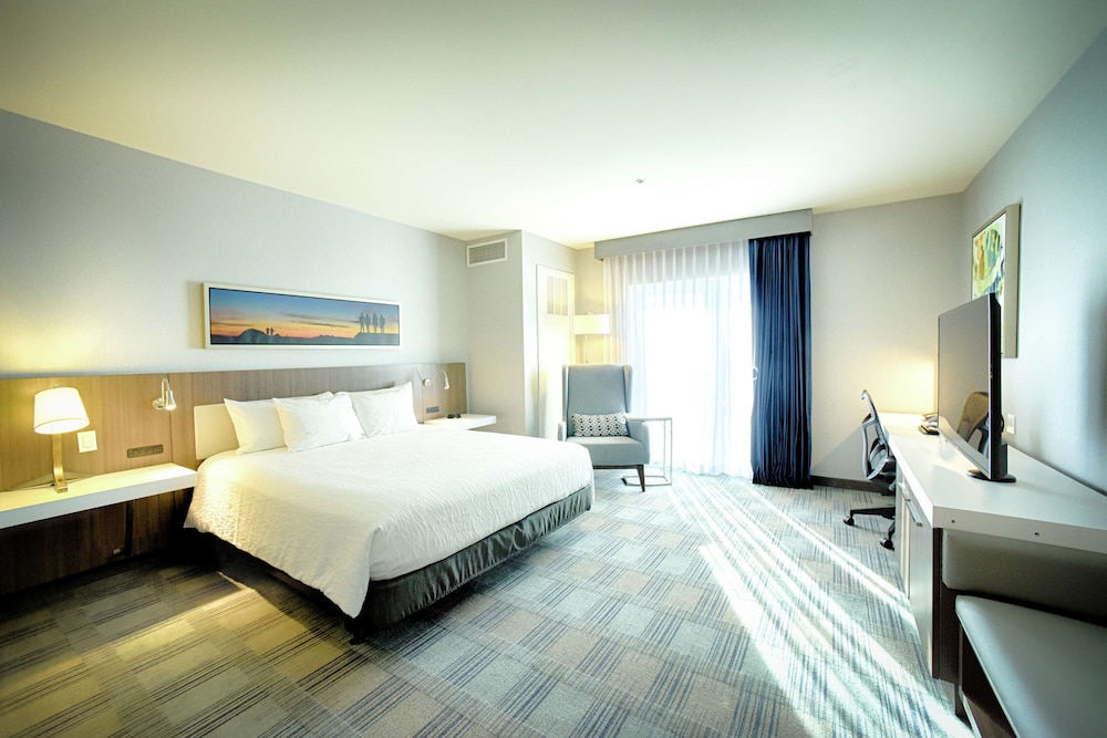 Hilton Garden Inn Santa Barbara Goleta - photo 32