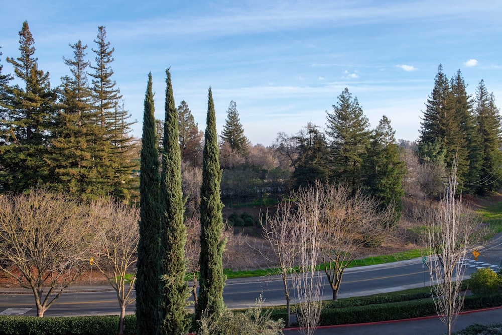 The Westin Sacramento Riverfront Hotel & Spa - photo 38
