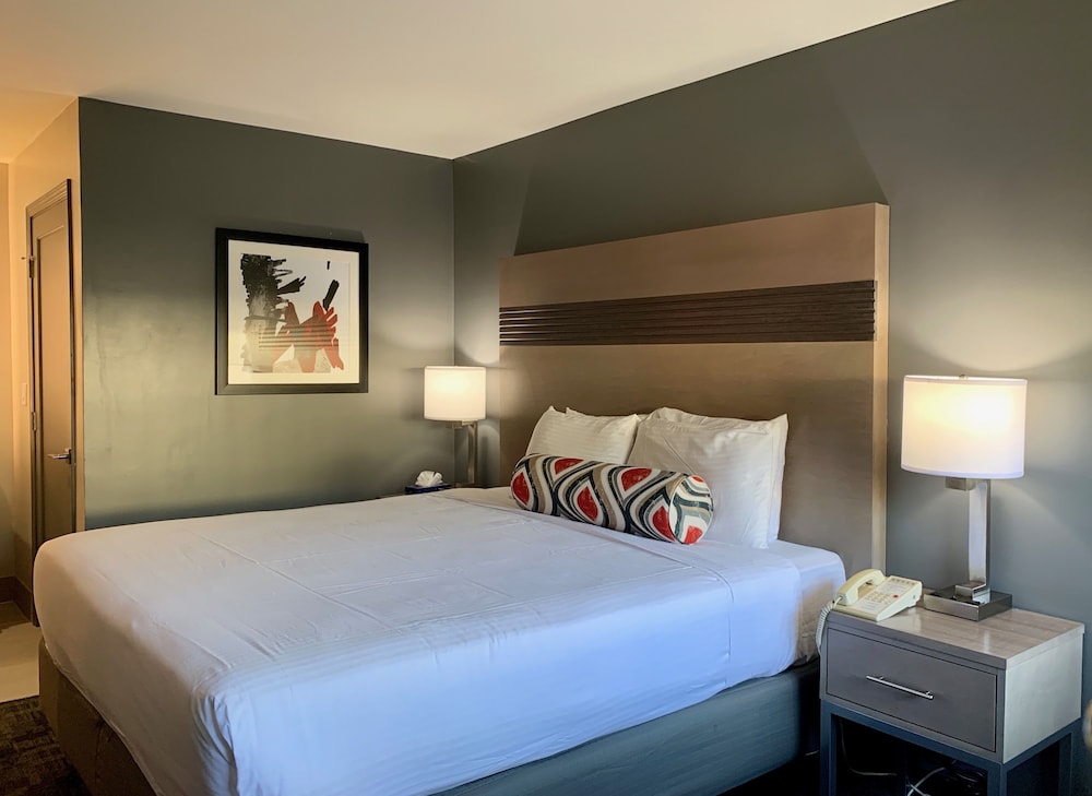 Pacific Motor Inn - photo 13