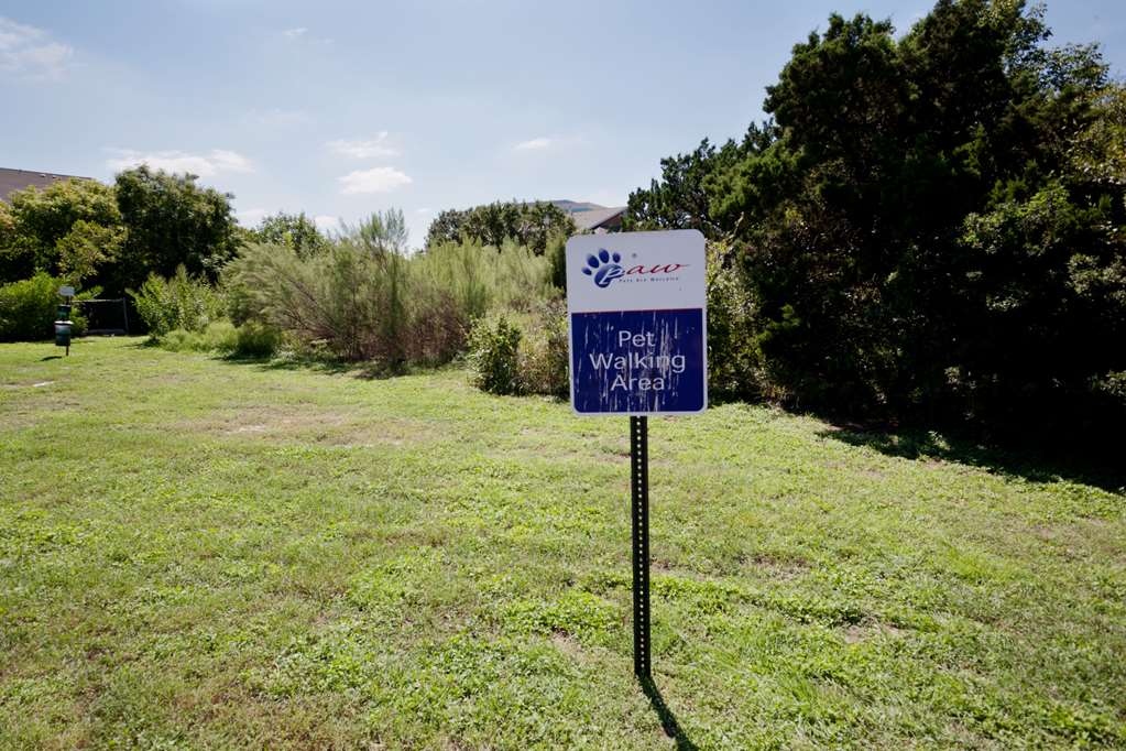 Sonesta Simply Suites Austin The Domain Area - photo 25