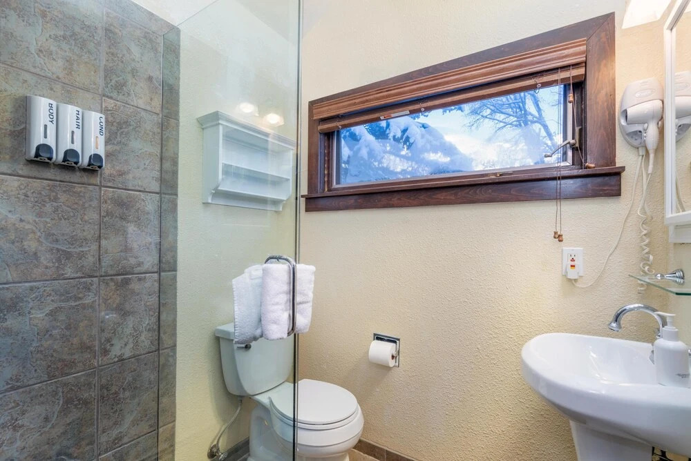 Manitou Lodge 5 Hotel Room by Alpine Lodging Telluride - photo 5