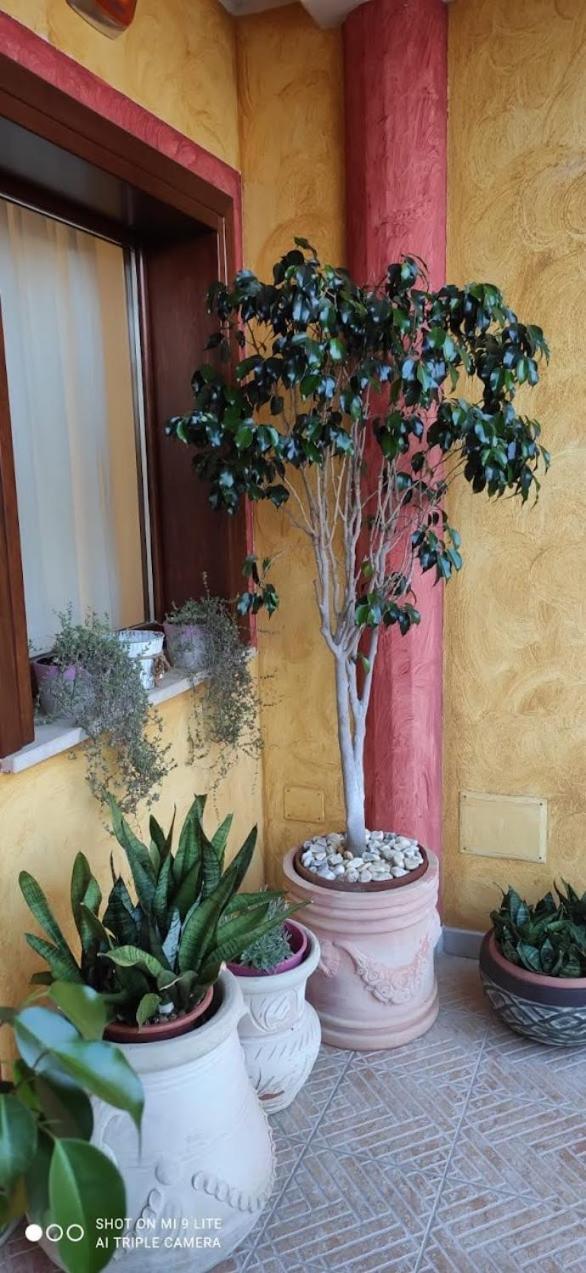 Grace Dell’isola Dei Coralli in Decimomannu, Italy