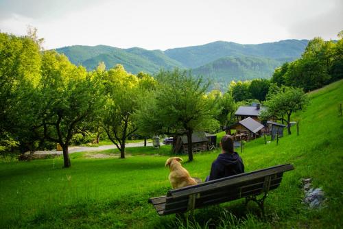 Na samote u lesa — hotel in Revuca
