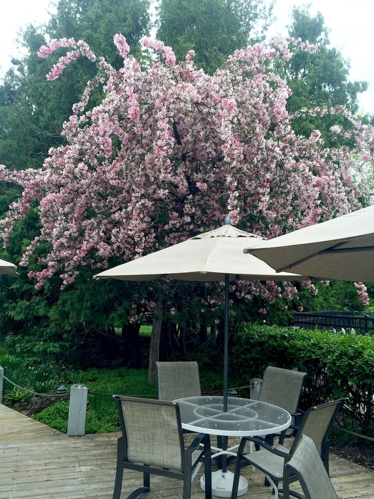 Country House Resort - photo 56