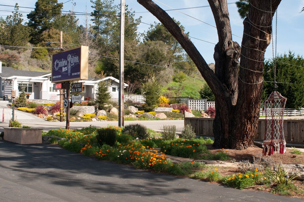Cambria Palms Motel - photo 26