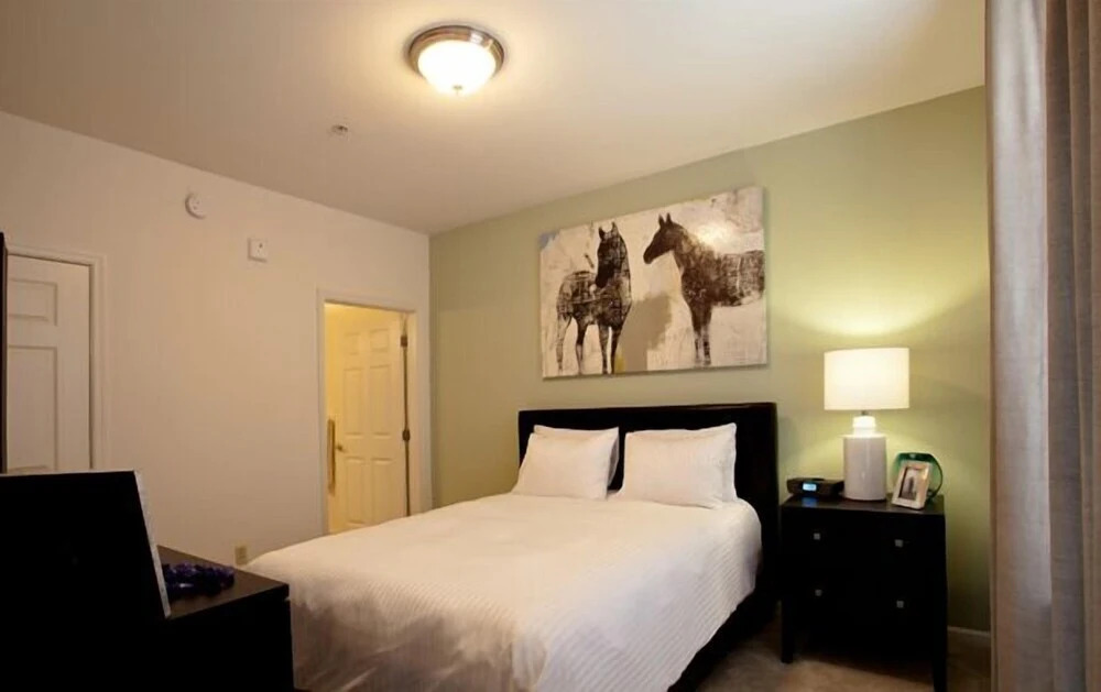 L Suites At Valley Forge - photo 9