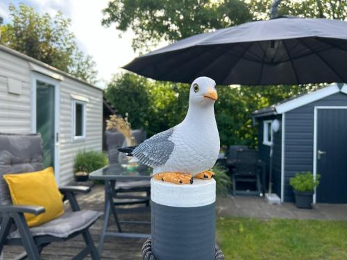 Natur pur O4 neues Ferienhaus natureingebunden Familien und hundefreundlich eingezäunt in Callantsoog, Netherlands