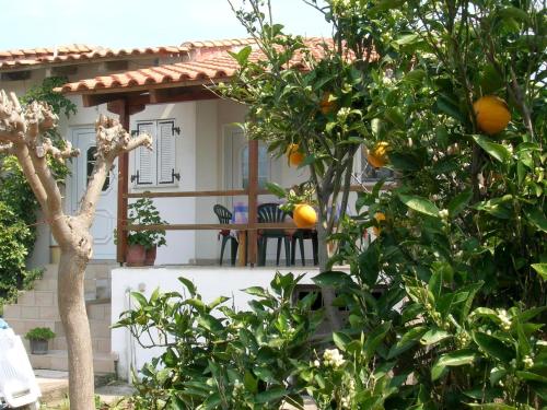 Nikos in Zacharo, Greece