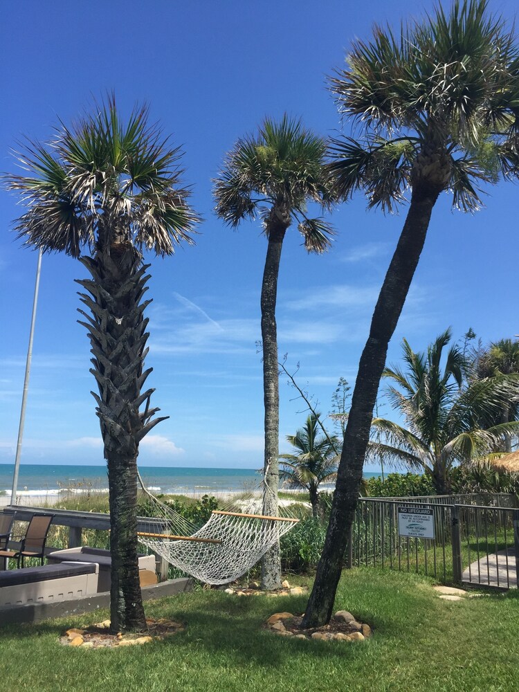 Surf Studio Beach Resort - photo 72