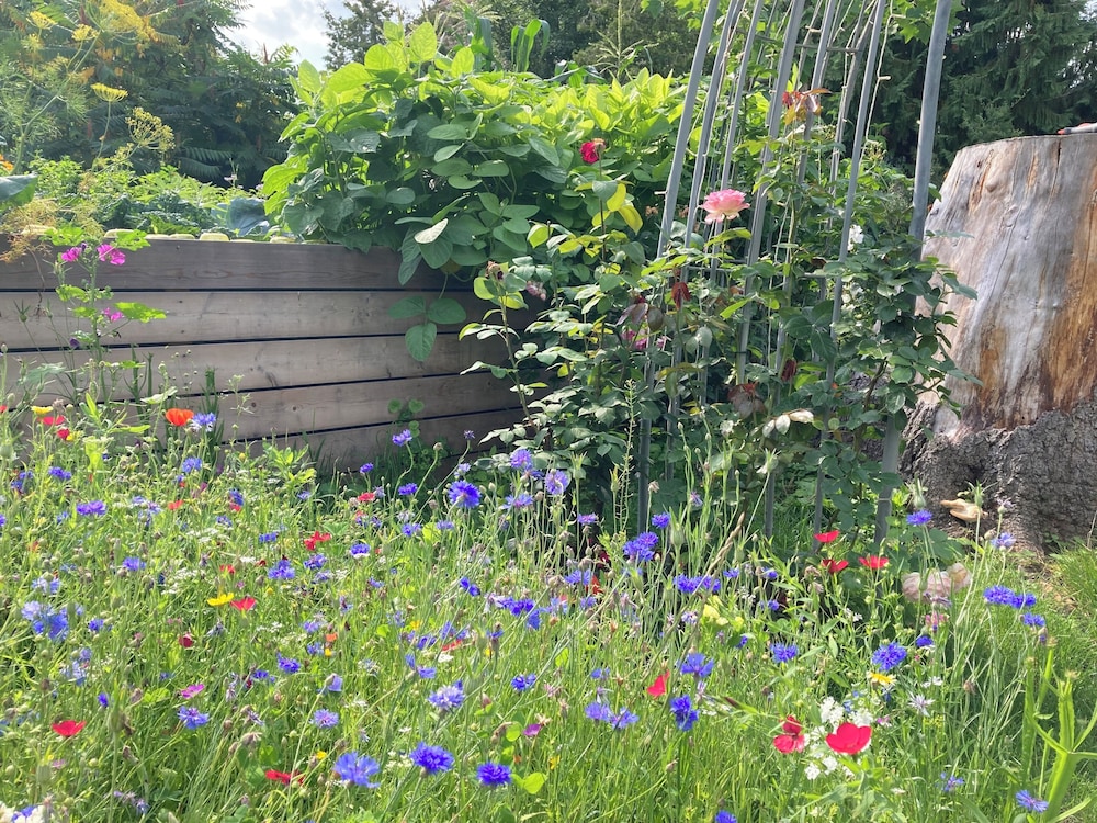 Kastanienhof Erfurt in Erfurt, Germany