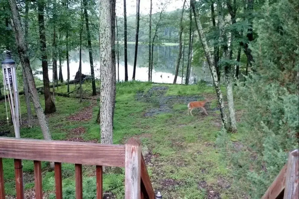 The Spice of the Poconosemai - photo 8