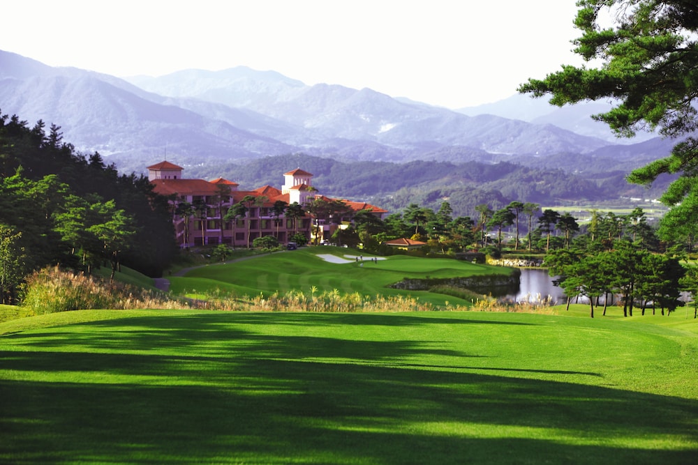 Pinehills Hotel in Suncheon, South Korea