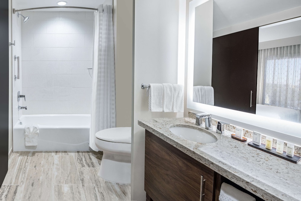 Embassy Suites by Hilton College Station TX - photo 11