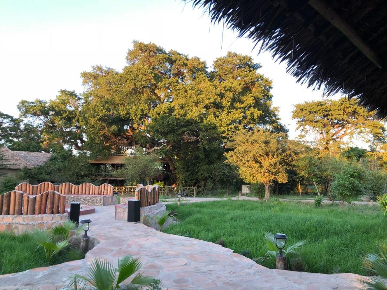 Mara Sweet Acacia Lodge — Narok — photo 5