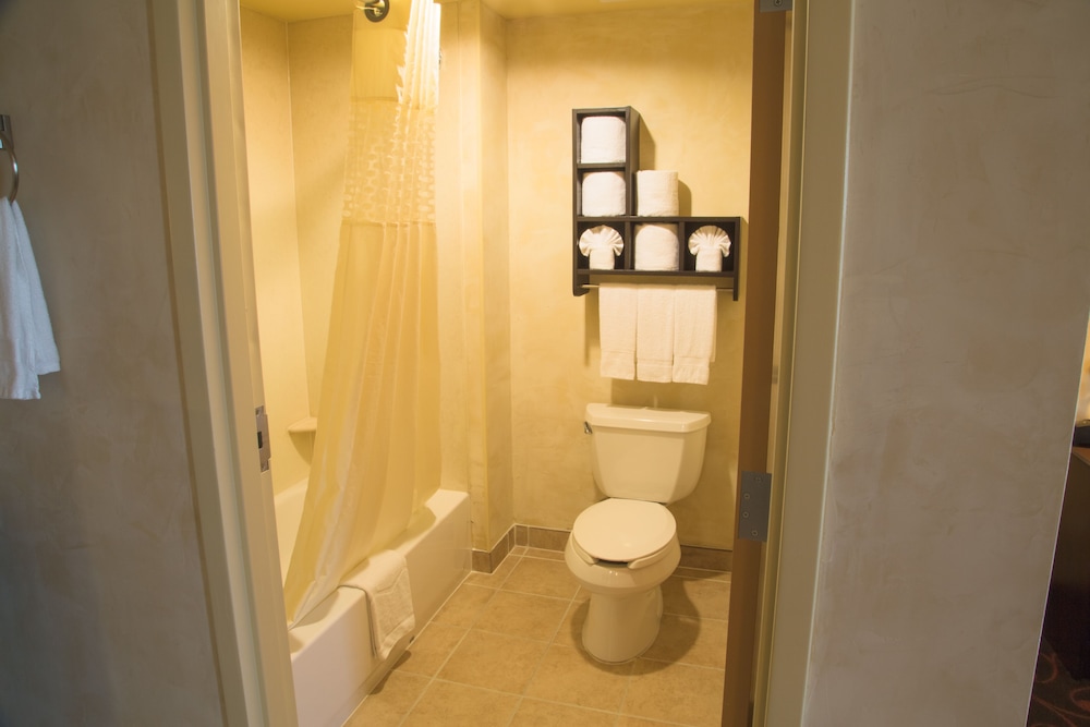 Hampton Inn & Suites Dallas Arlington N Entertainment Dist. - photo 26