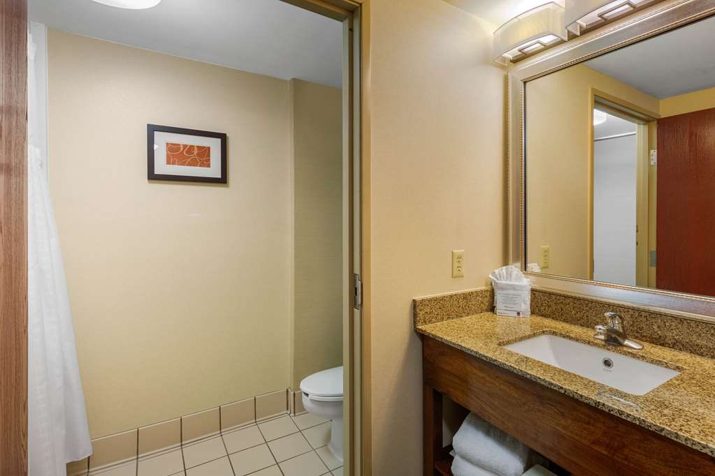 Comfort Suites Manassas Battlefield Park - photo 17