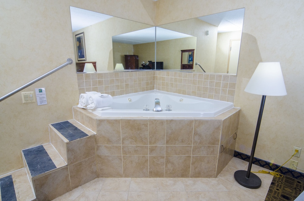 Quality Inn & Suites Coldwater near I 69 - photo 9
