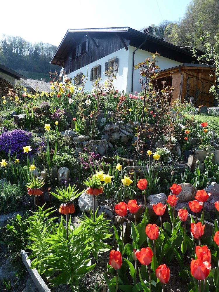 Le Jardin Fleuri — hotel in Ollon
