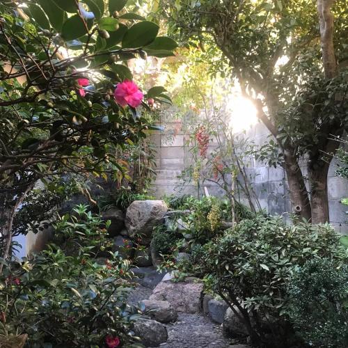 あまね庵 Villa Amane — Sakurai — photo 4