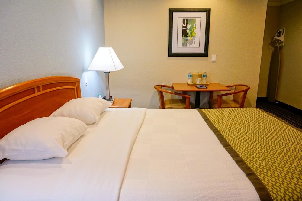 Hotel Parmani - photo 20