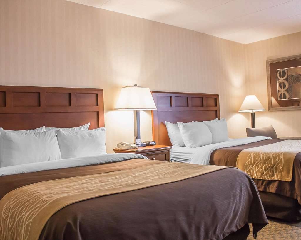 Comfort Inn Wethersfield Hartford - photo 8