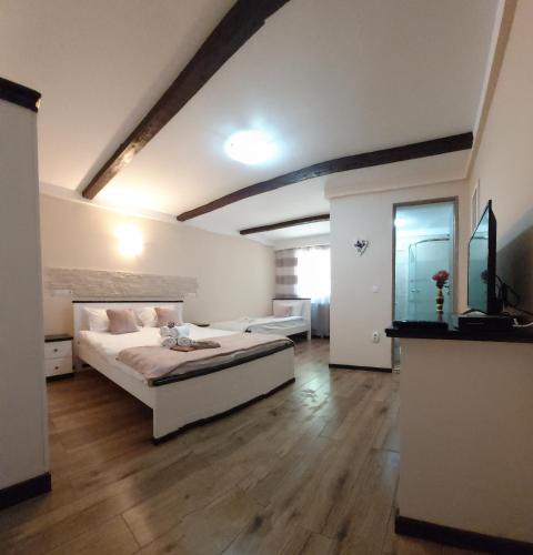 Casa de oaspeti Abby cu piscina si jacuzzi — 4-Star Luxury Hotel in Moldovenesti, Romania