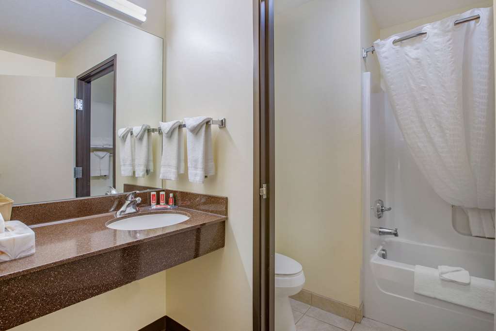 Econo Lodge Inn & Suites Des Moines Fairgrounds Area - photo 17