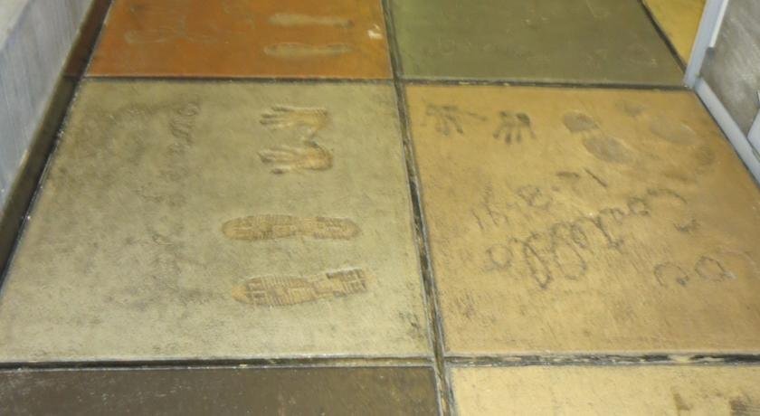 Hollywood Inn & Suites - photo 9