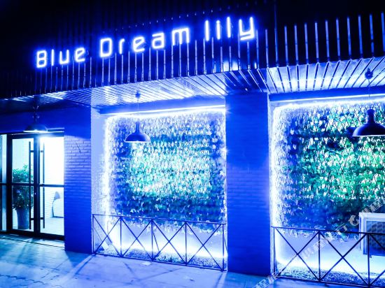 Blue Dream Lily in Linfen, People's Republic of China