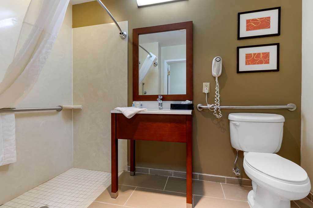 Comfort Inn & Suites Cordele - photo 9
